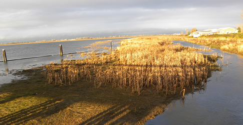 Delta, BC, Canada